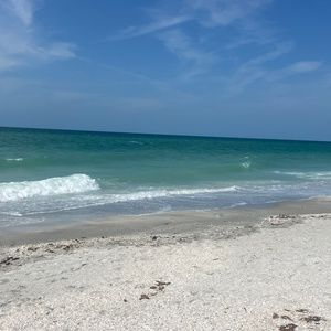 Meet your Posher, Amelia